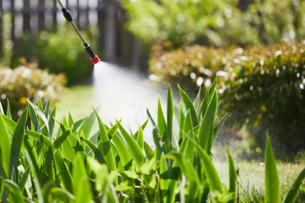 24/7 Emergency Wasp Removal experts in North Lauderdale, FL