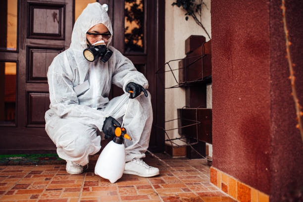 Reliable Wasp Removal contractor in North Lauderdale, FL by Show Me Pest Control